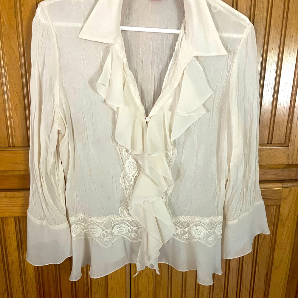Blouse sheer and dressy